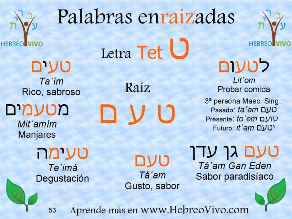Palabras enraizadas en hebreo con la raíz TAAM