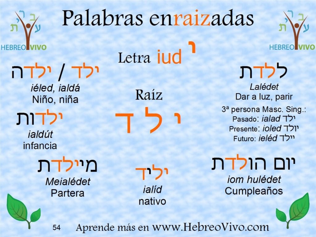 Palabras enraizadas en hebreo con la raíz IELED