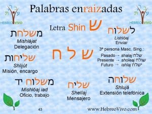 Palabras enraizadas en hebreo con la raíz Shalaj
