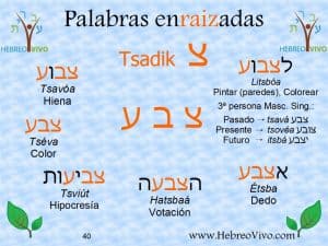 Palabras enraizadas en hebreo con la raíz TSEVA